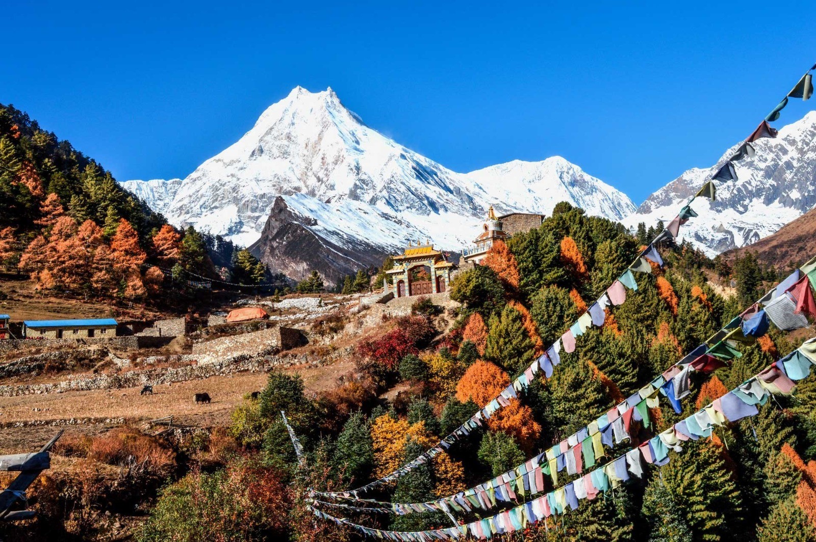 manaslu circuit trek for first time trekkers